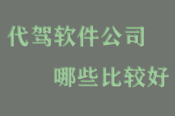 代駕軟件公司哪些比較好_代駕系統開發_代駕軟件費用_購買代駕系統_代駕軟件需要多少錢