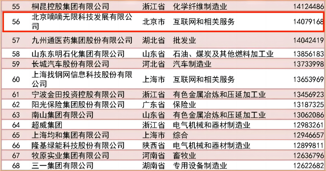 網約車系統開發丨互聯網出行企業進入中國民營企業500強_滴滴_網約車系統開發_出行軟件開發_網約車app開發