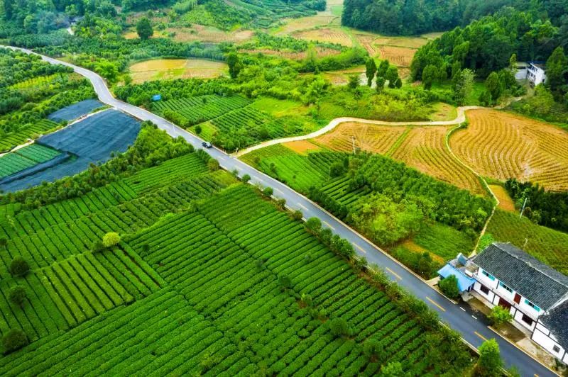 加快農村客運提檔升級 奮力譜寫四好農村路“運營好”新篇章_農村客運系統開發_農村客運軟件開發_農村客運APP開發